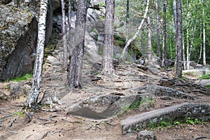 Landscape park Stolby, near Krasnoyarsk