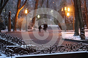 landscape in a park with trees under the first snow russia