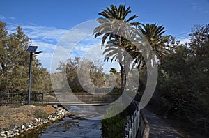 Landscape in Parque Tony Gallardo at Maspalomas on Gran Canaria,Canary Islands,Spain photo