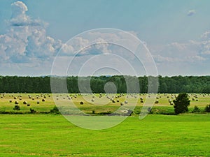 Landscape pasture rolls of hay