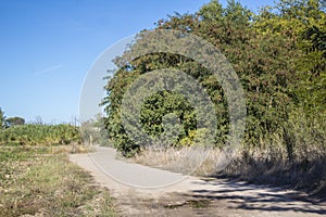 landscape path, nature photo