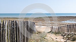 Landscape pathway access Atlantic beach in sand dunes fence in Cap-Ferret ocean france