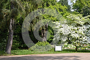 Landscape on Peacock Island in Spring, Wannsee, Zehlendorf, Berlin