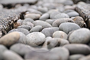 Landscape Pebble Stones