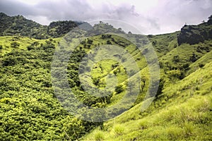 Landscape in Pemuteran, Bali, Indonesia