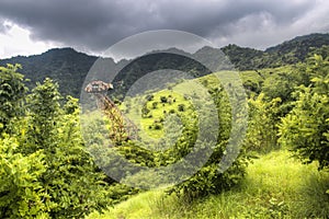 Landscape in Pemuteran, Bali, Indonesia