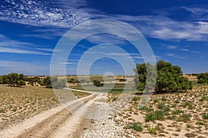 Landscape with perspective of disappearing dirt road over hills, dry grass and clover green Medicago