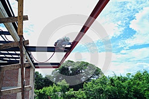 Landscape and perspective of house under construction with roof`s steel structure in background