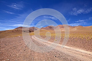 Landscape in the Puna de Atacama, Argentina photo