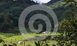 Landscape in the Peruvian highlands