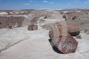 Petrified Forest National Park photo