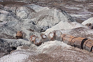 Petrified Forest National Park photo