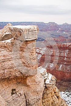 Landscape in Phoenix, Arizona.