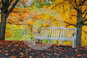 Landscape photo of autumn scene