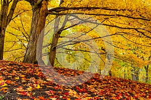 Landscape photo of autumn scene