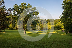 Landscape Photo of a Botanical Garden