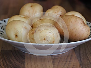 Bowl of raw epicure potatoes photo