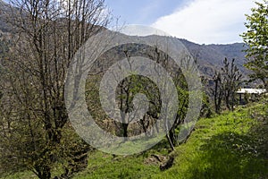 Landscape photo of Dharamsala in India