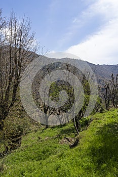 Landscape photo of Dharamsala in India