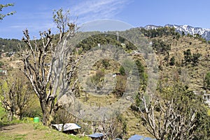 Landscape photo of Dharamsala in India