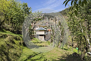 Landscape photo of Dharamsala in India