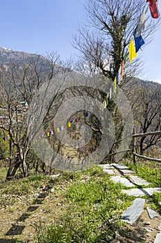 Landscape photo of Dharamsala in India