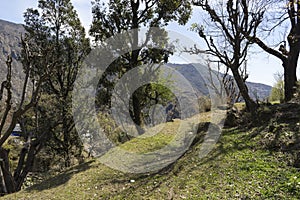 Landscape photo of Dharamsala in India