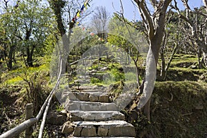 Landscape photo of Dharamsala in India