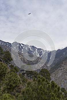 Landscape photo of Dharamsala in India