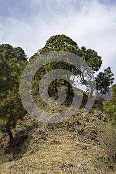 Landscape photo of Dharamsala in India