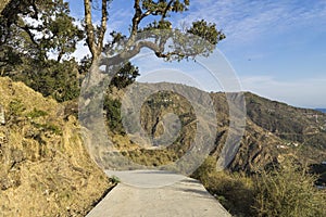 Landscape photo of Dharamsala in India