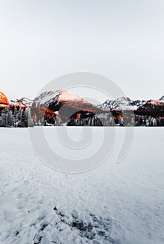 Fotografie krajiny zamrzlého a zasněženého Štrbského plesa Štrbské pleso v zimním období. Hory na Slovensku se zamrzlým jezerem na