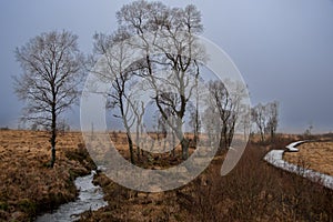 Landscape photo of the moorland in the nature reserve `High Fens` in winter