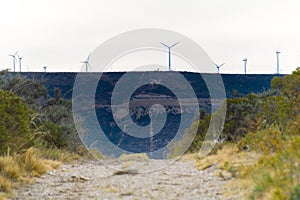 Landscape photo of the patagonian steppe photo