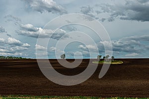 Landscape photo of plowed fields with small islands of forest