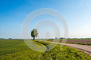 Landscape photo of a rural area in the spring season