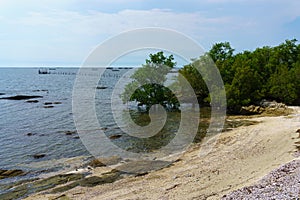 Landscape photo of sea beach