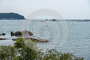 Landscape photo of sea beach