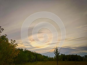 Landscape photo taken on a summer day in the afternoon with a beautiful sky with cirrus clouds, green fields, trees, plants on a