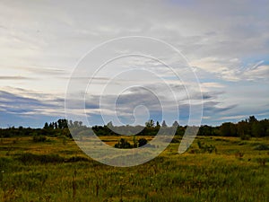 Landscape photo taken on a summer day in the afternoon with a beautiful sky with cirrus clouds, green fields, trees, plants on a