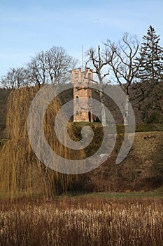 landscape with trees and an observatory tower