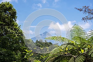 Landscape photo. View of Mount Raung Banyuwangi with blue sky and clouds