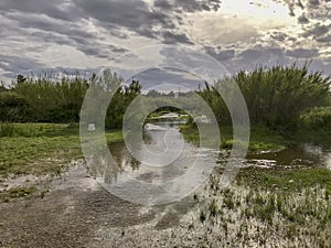 Landscape photographed on a walk along the riverside