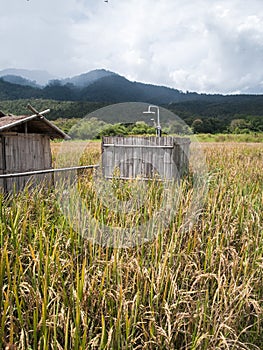 Landscape photography : Landscapes of rice fields Asia and lifestyle farmers