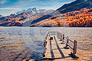 Landscape photography. Old wooden pier on Sils lake. Orange larch trees forest in Swiss Alps.