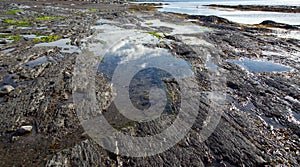 Landscape  and photography at Sainte-Luce sur mer