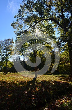 Landscape photography of Worlds end's beautiful fall colors