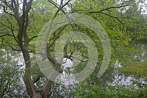 Landscape photos of Xixi Wetland Park, Hangzhou