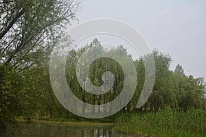 Landscape photos of Xixi Wetland Park, Hangzhou