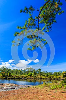 Landscape on Phu Kradung national park, Thailand